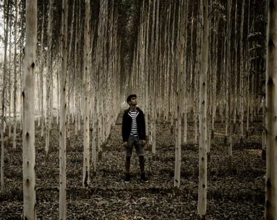 A black and white photo. A young man stands in the middle of a grove of slender trees, all with white trunks.