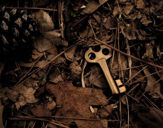Brass key sitting on fallen leaves
